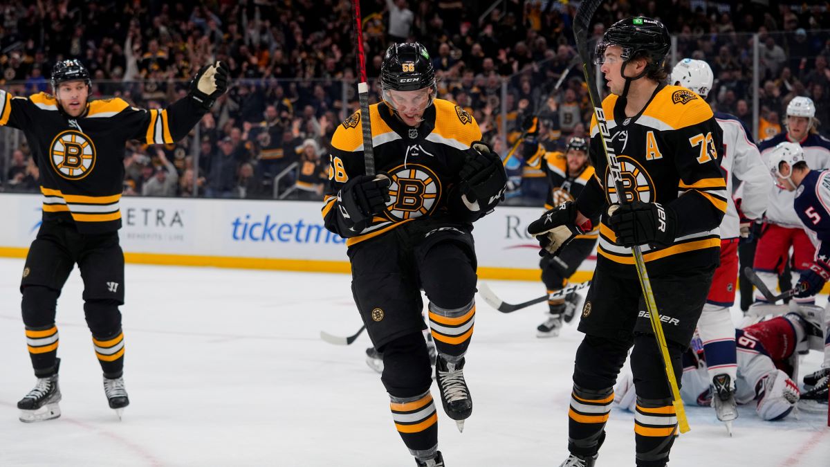 Boston Bruins center Erik Haula