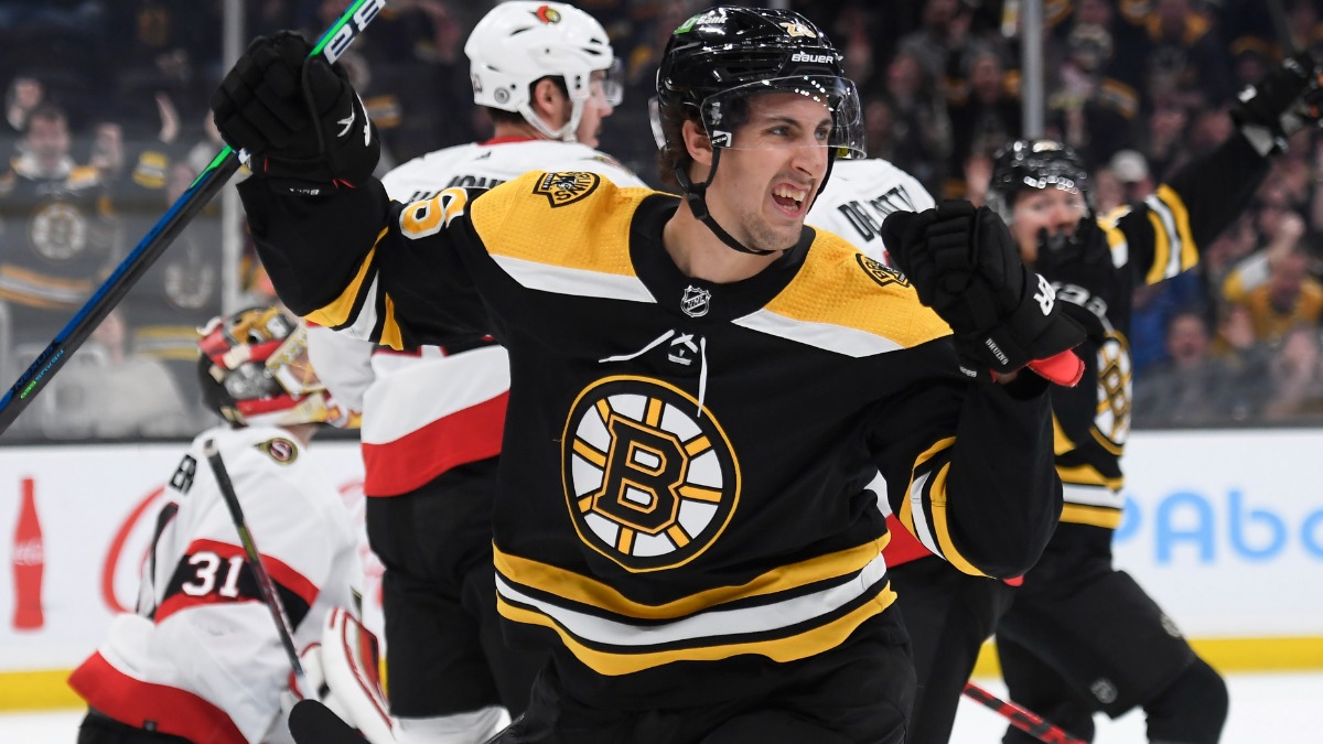 Boston Bruins forward Marc McLaughlin