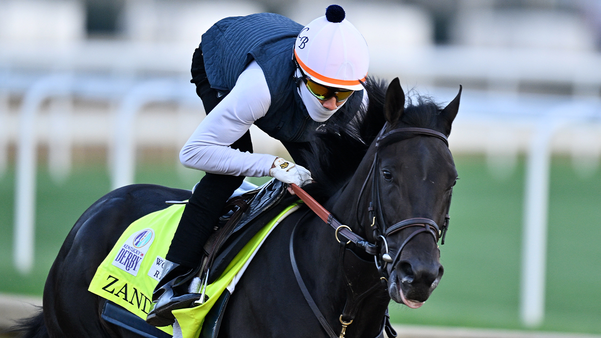 Kentucky Derby horse Zandon
