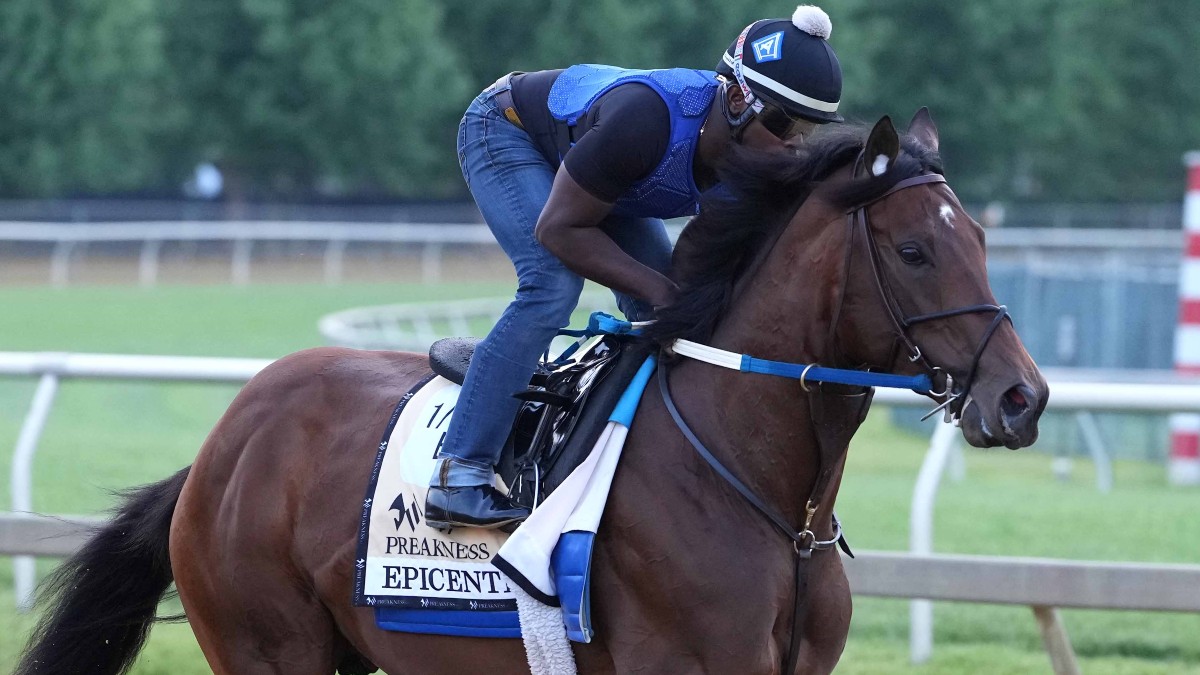 race horse Epicenter