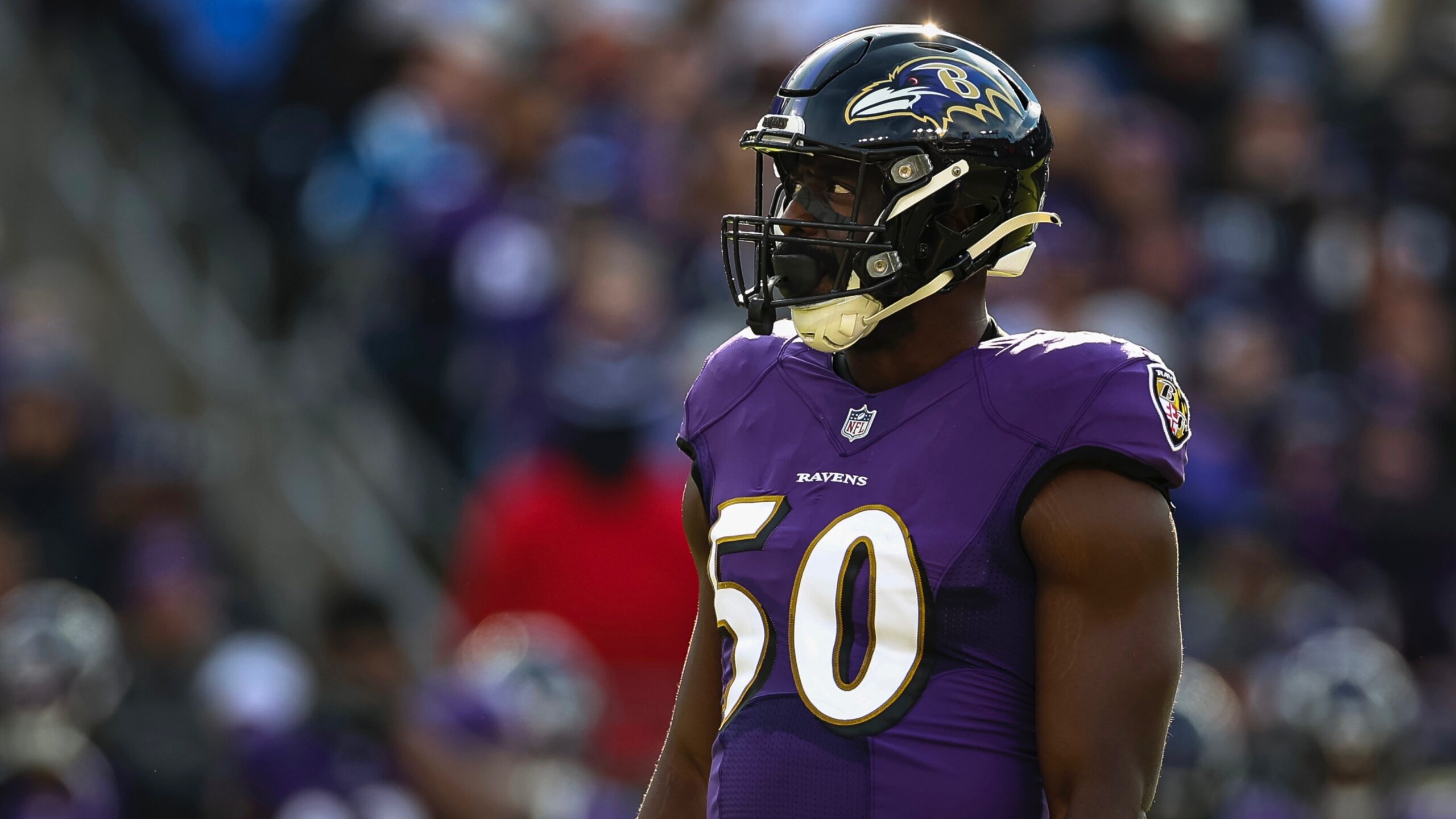Minnesota Vikings v Baltimore Ravens