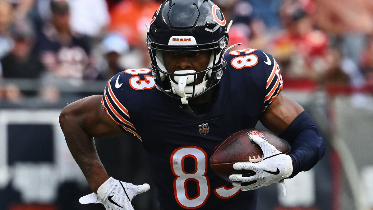 Chicago Bears wide receiver Dazz Newsome