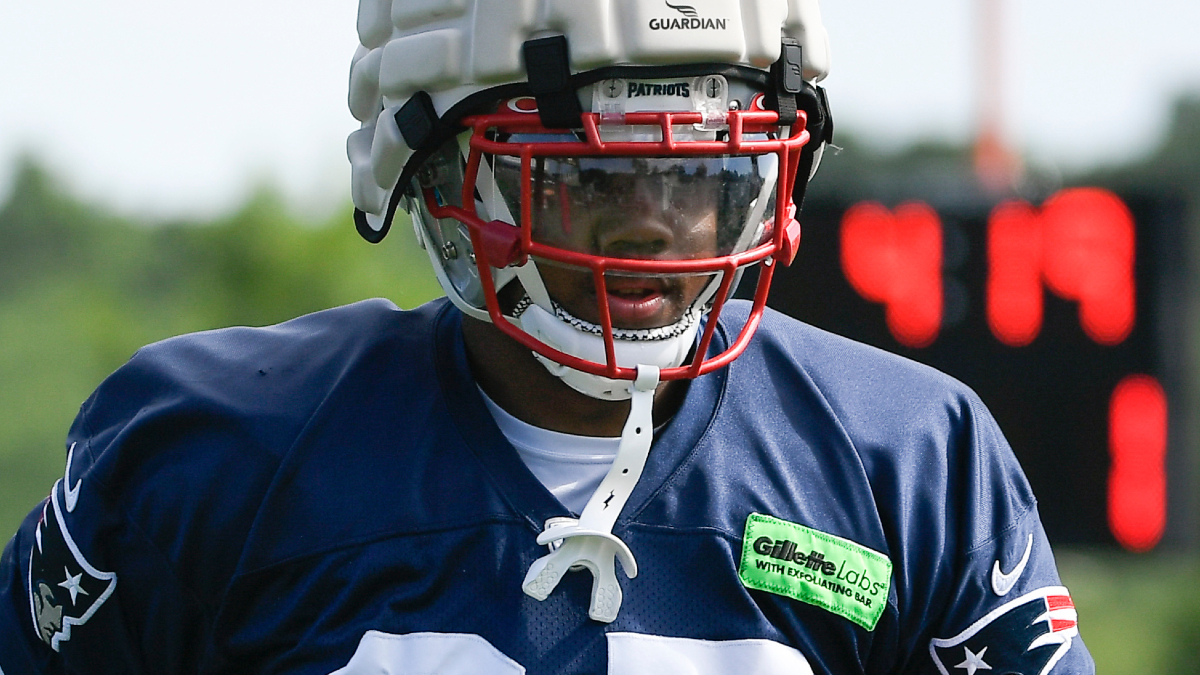 New England Patriots defensive lineman LaBryan Ray