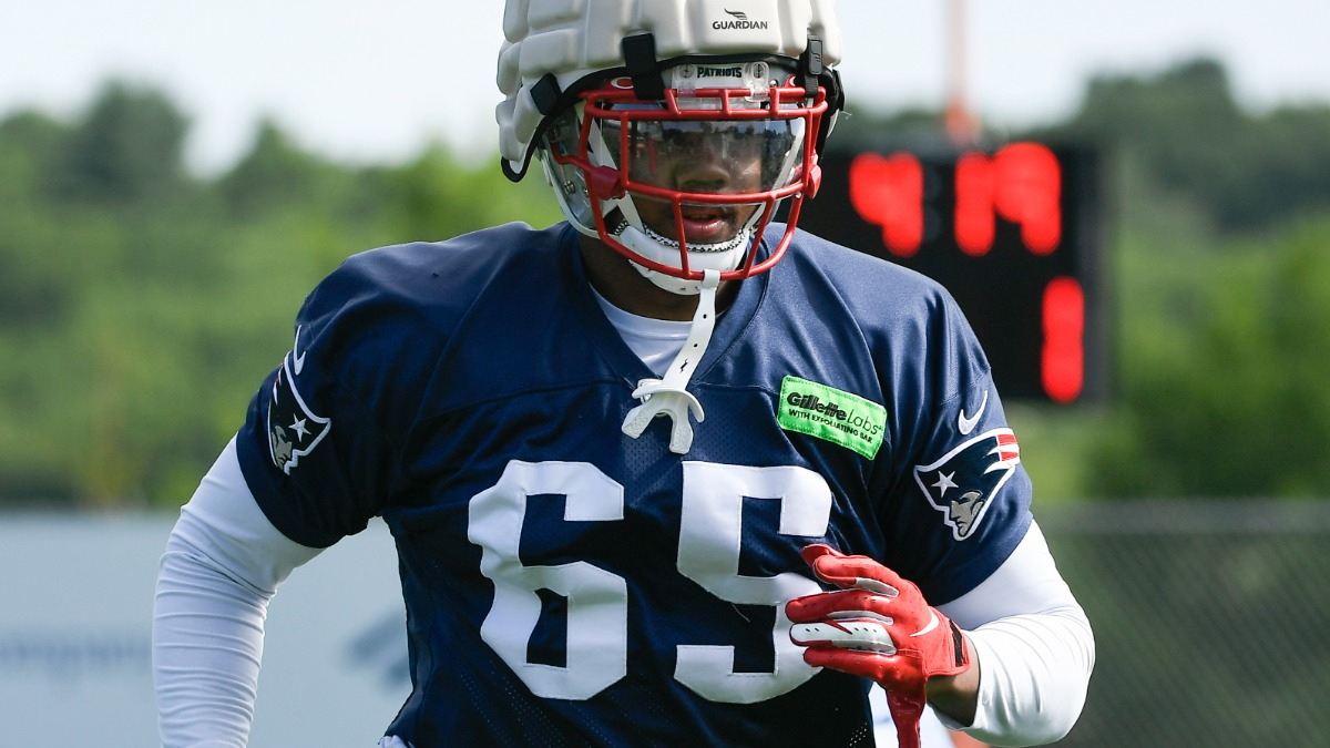 New England Patriots defensive lineman LaBryan Ray