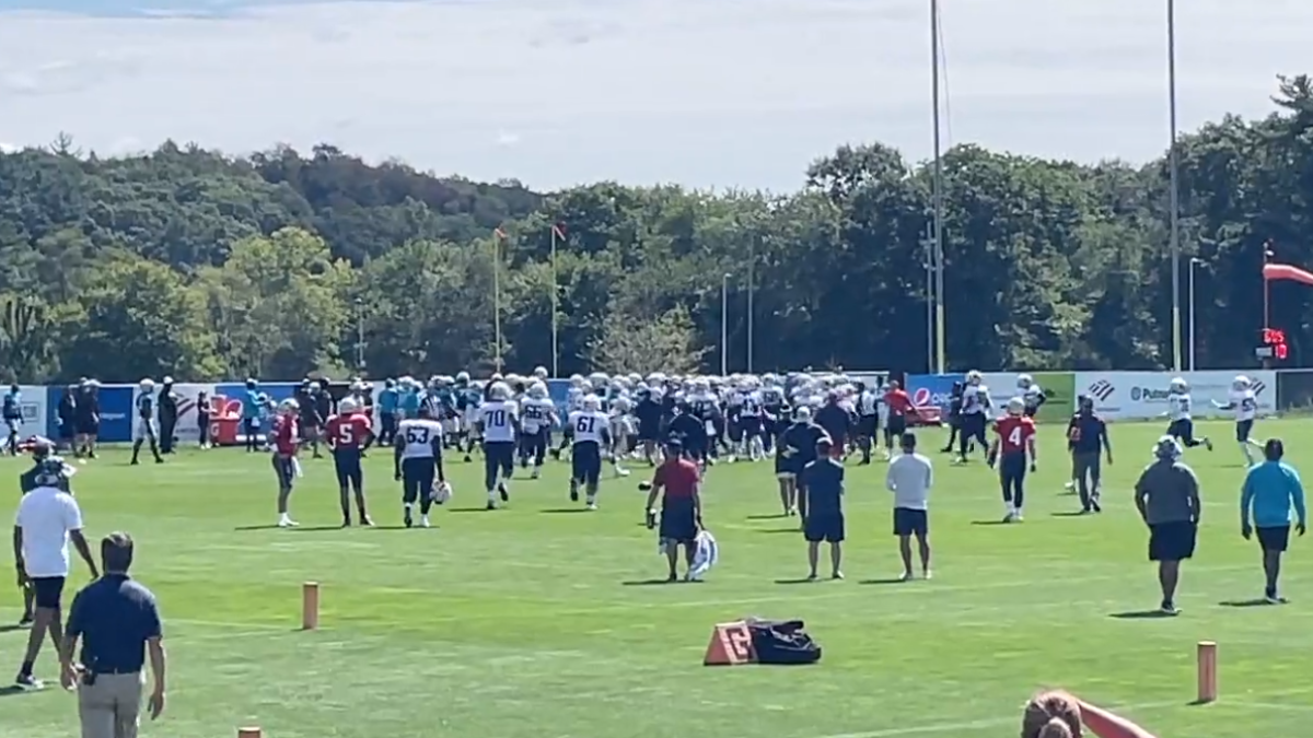 New England Patriots and Carolina Panthers