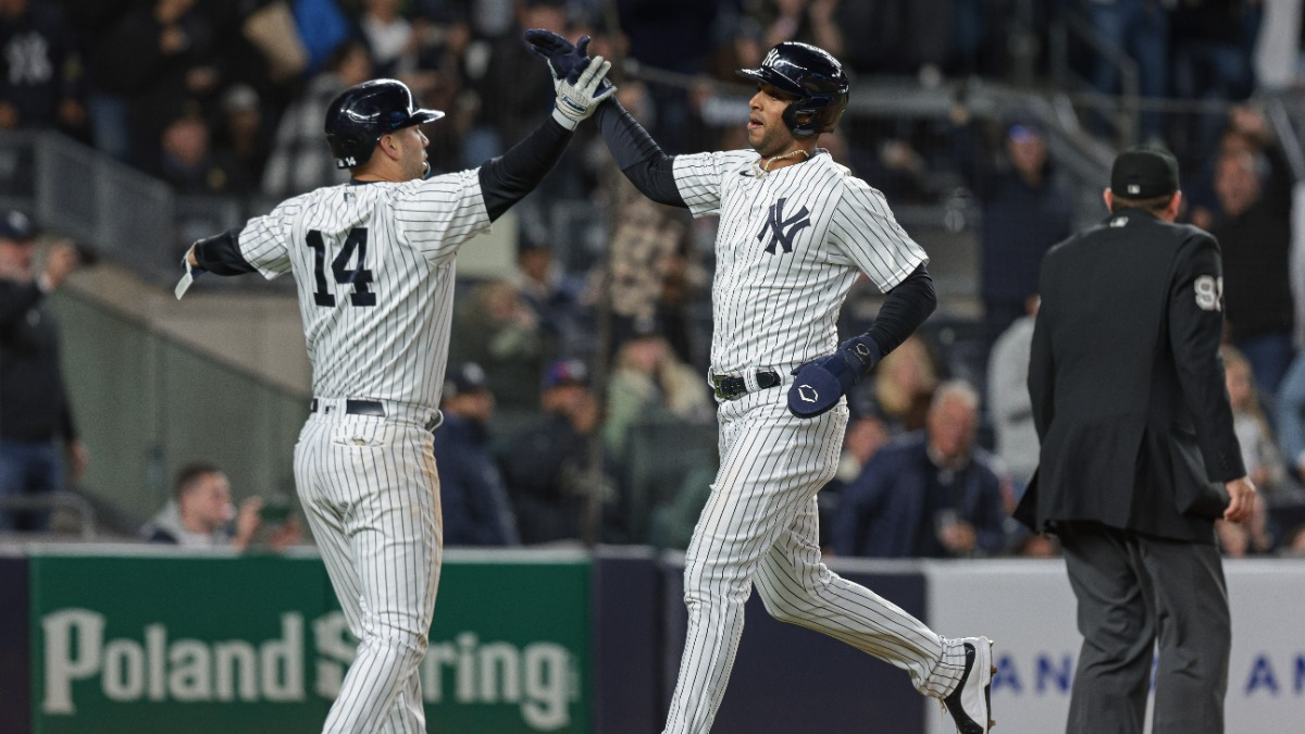 New York Yankees first baseman Marwin Gonzalez (14) and left fielder Aaron Hicks