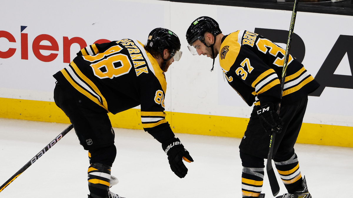 Boston Bruins center Patrice Bergeron, right wing David Patrnak