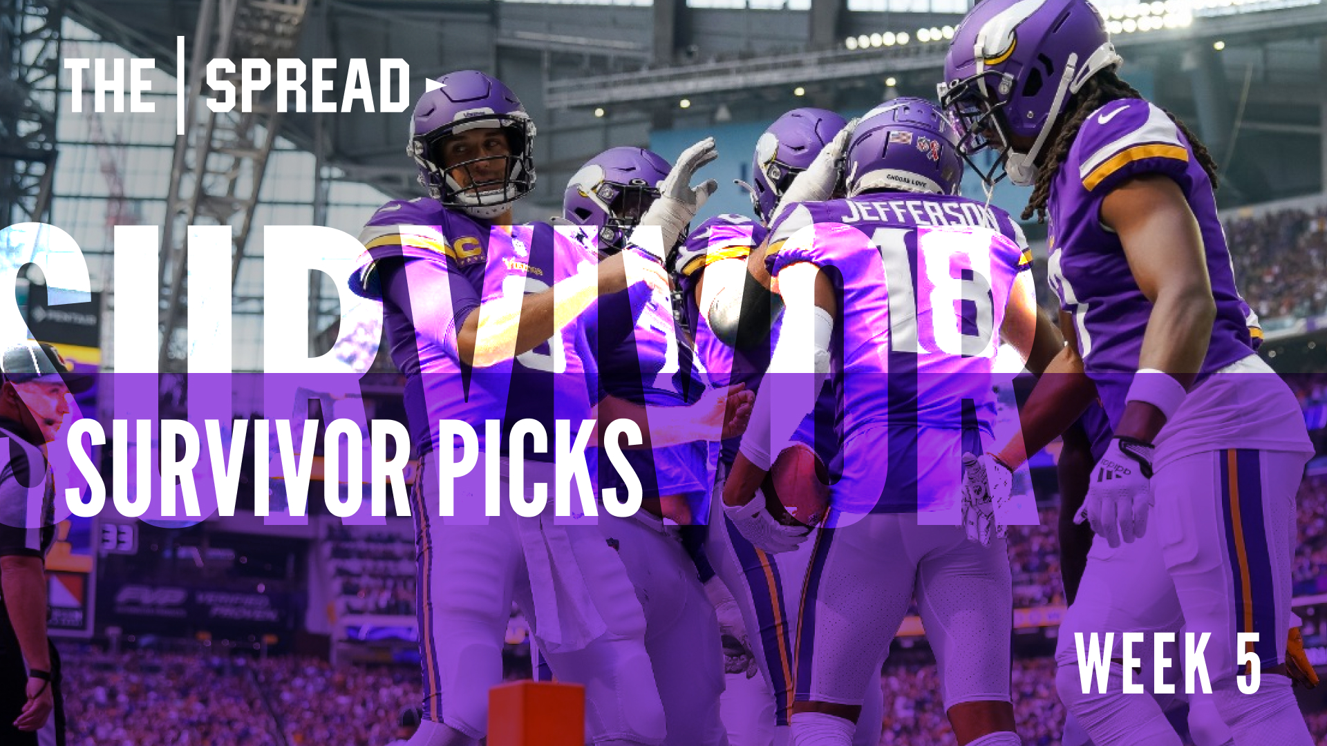Minnesota Vikings