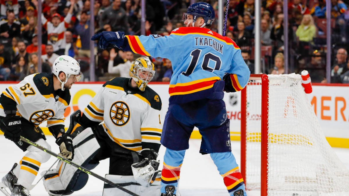 Boston Bruins defenseman Jakub Zboril and goalie Jeremy Swayman