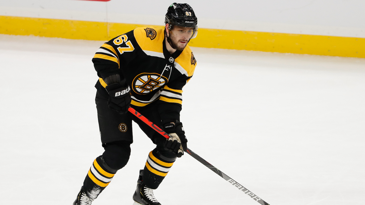 Boston Bruns defenseman Jakub Zboril
