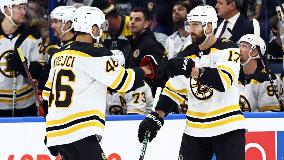 Boston Bruins left wing Nick Foligno, center David Krejci