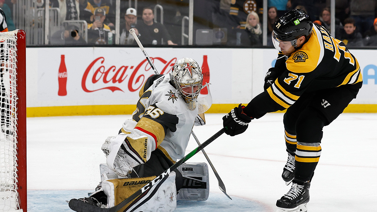 Boston Bruins left wing Taylor Hall