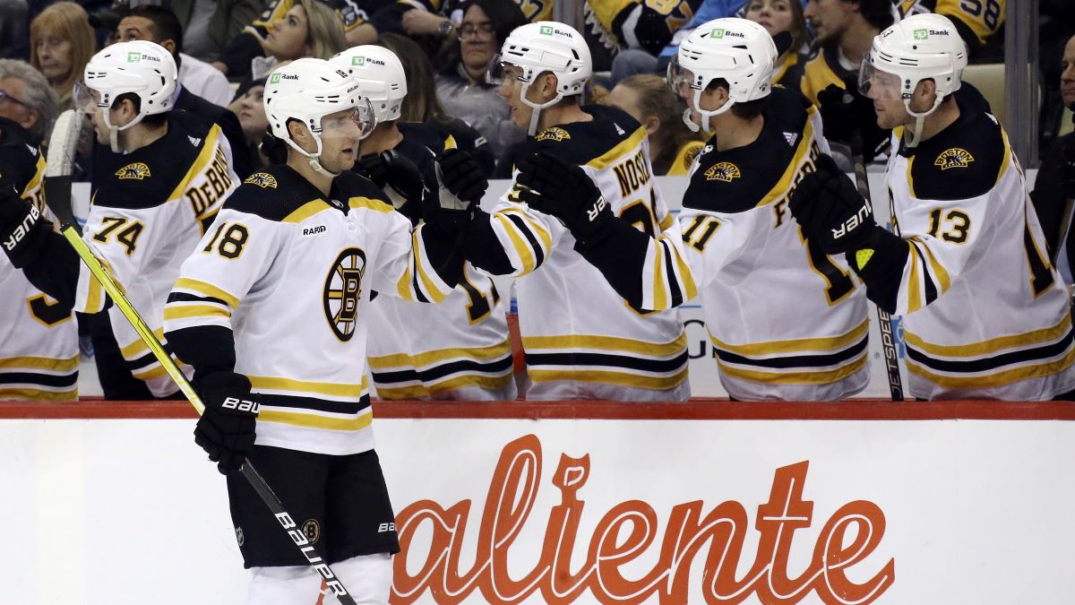 Boston Bruins forward Pavel Zacha