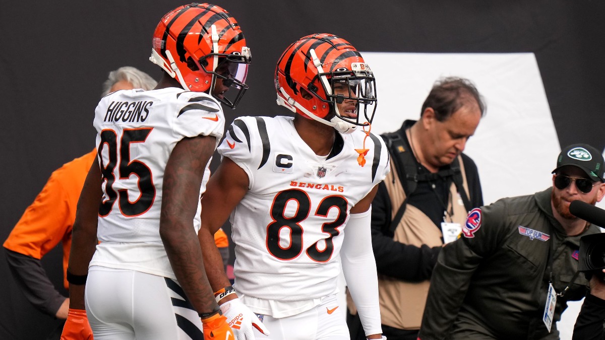 Cincinnati Bengals wide receivers Tee Higgins and Tyler Boyd