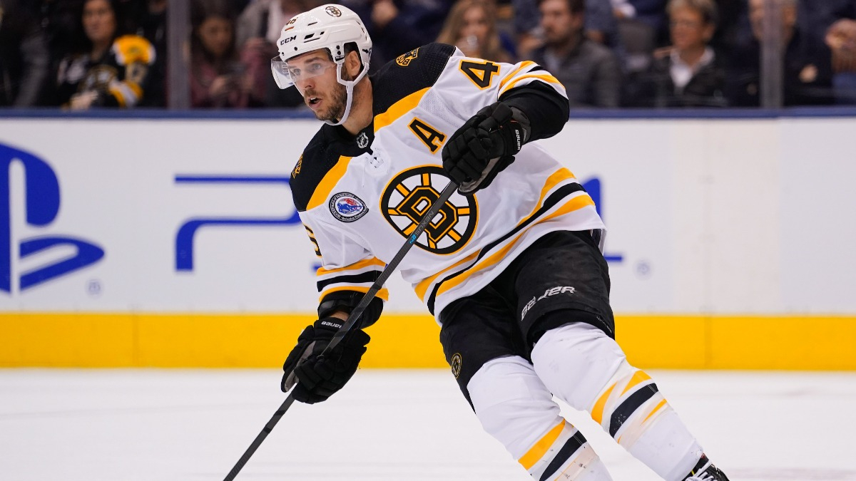 Boston Bruins center David Krejci