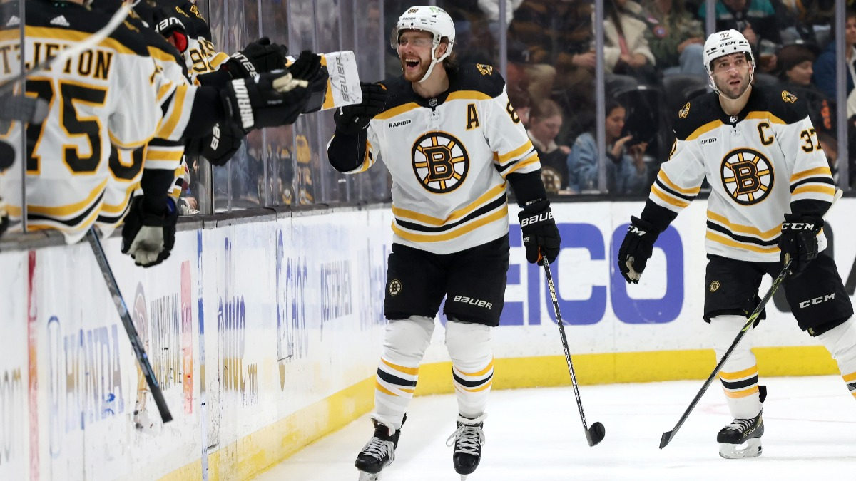 Boston Bruins forward David Pastrnak