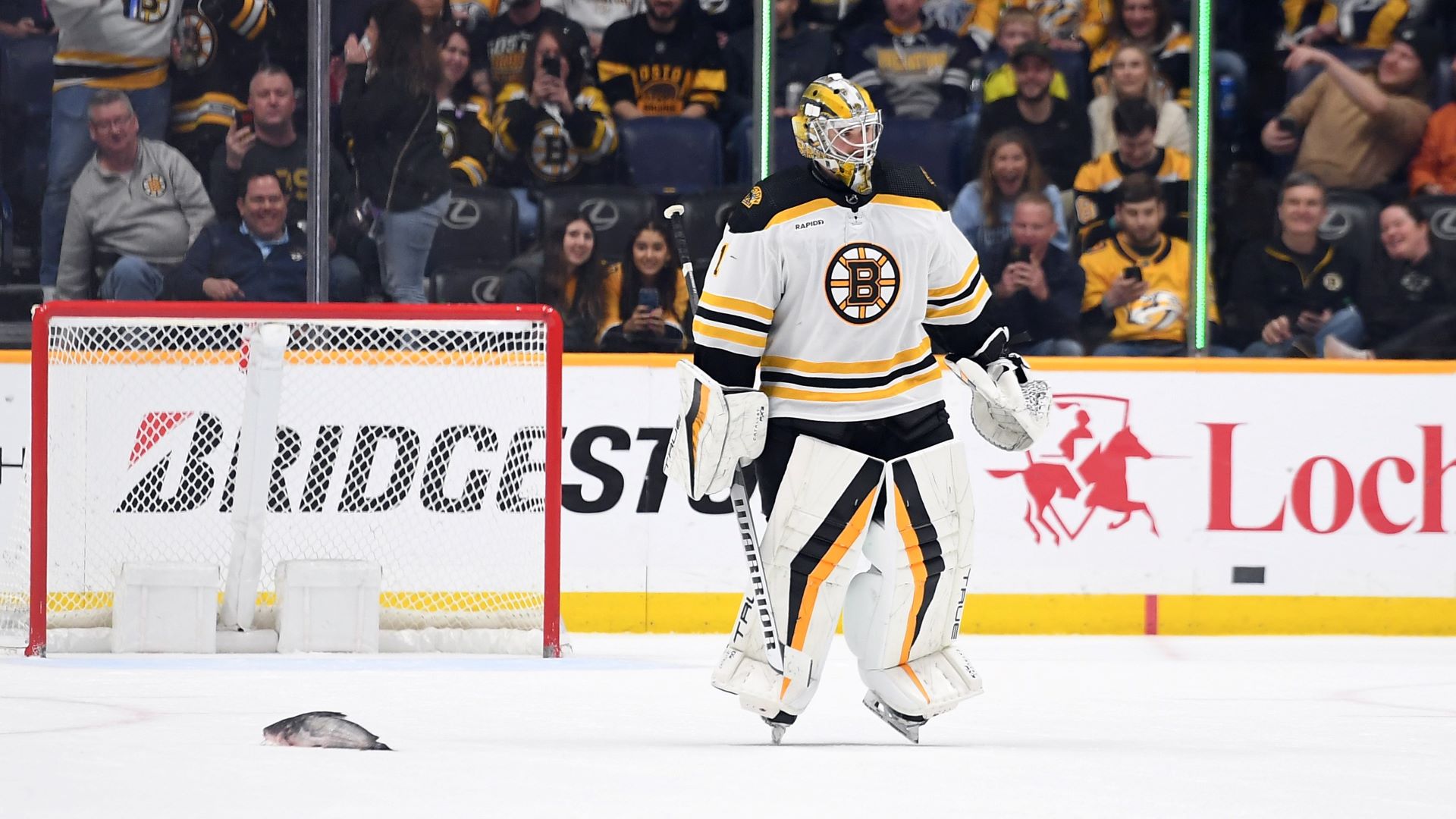 Boston Bruins goalie Jeremy Swayman