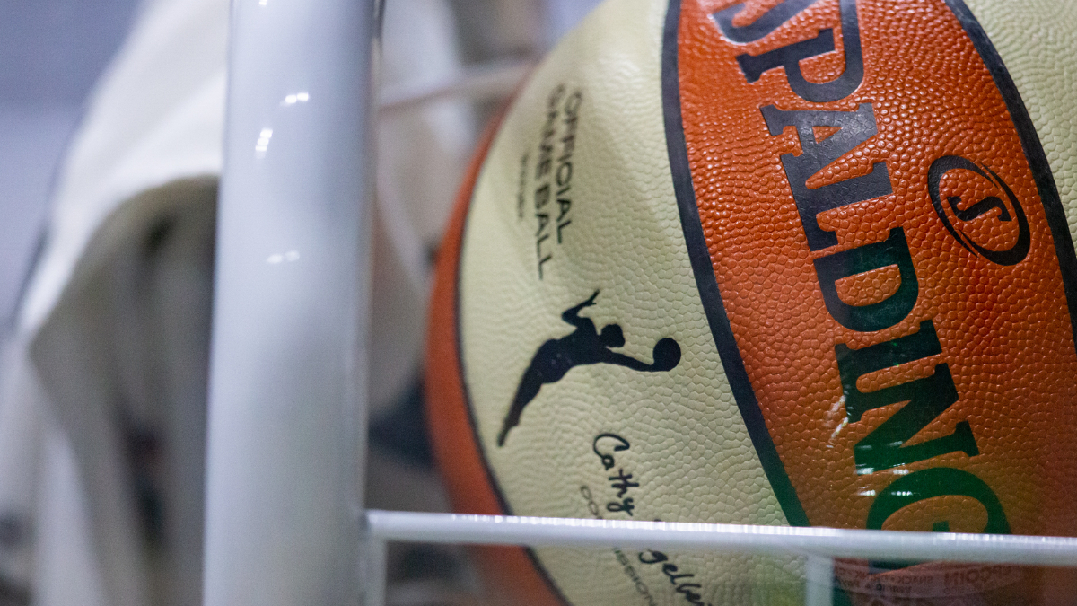 WNBA game ball