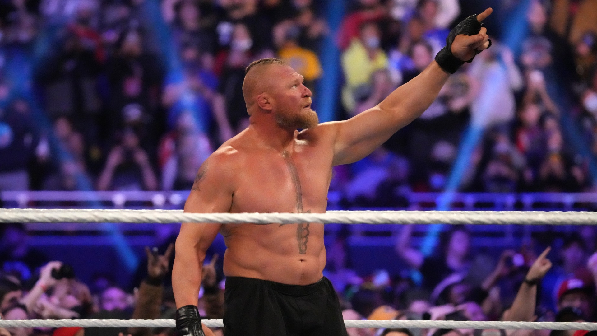 WWE superstar Brock Lesnar
