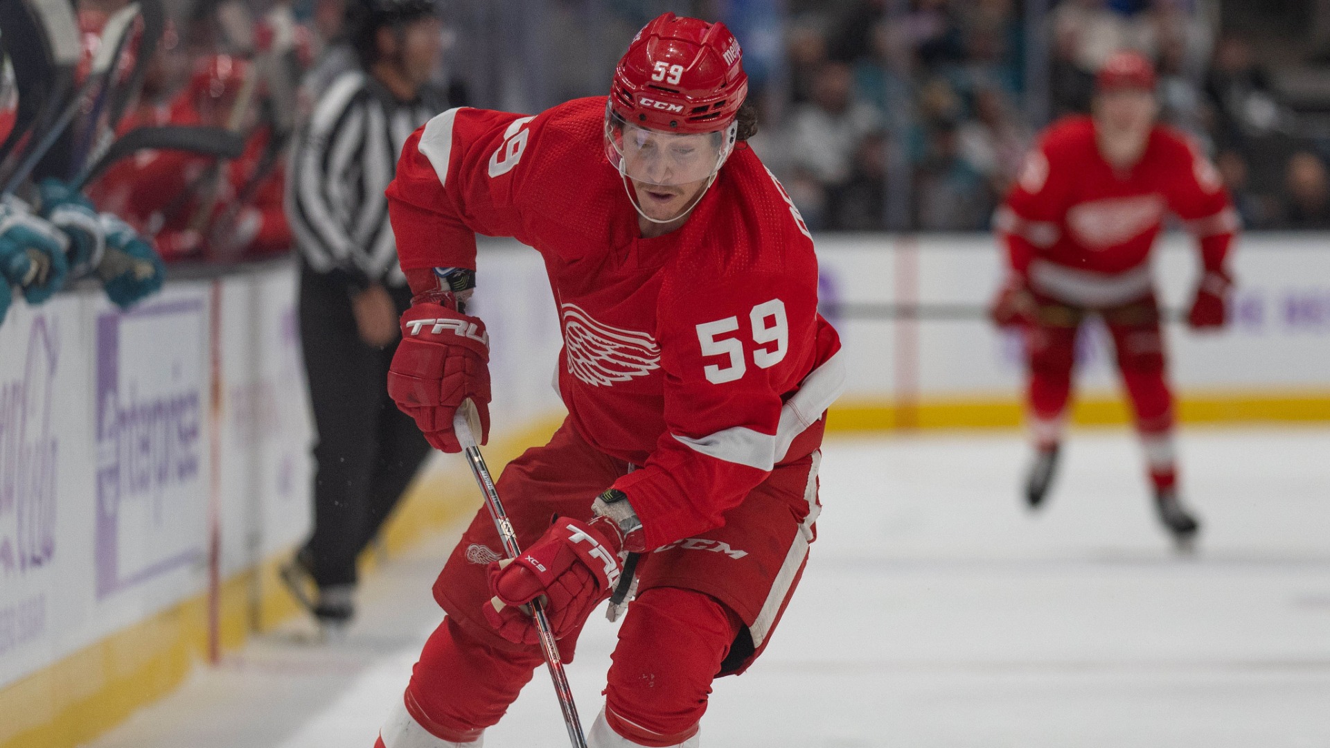Boston Bruins left wing Tyler Bertuzzi
