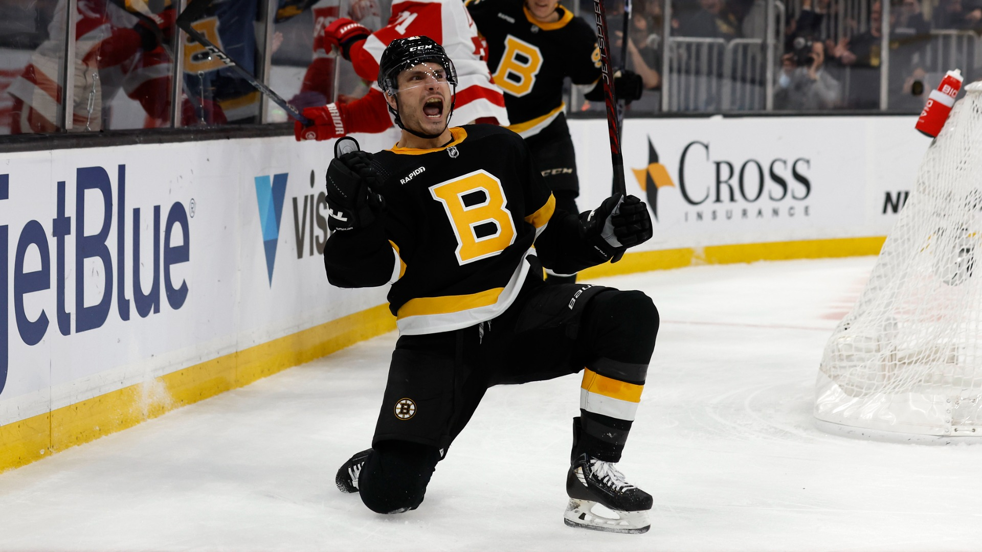 Boston Bruins forward Garnet Hathaway