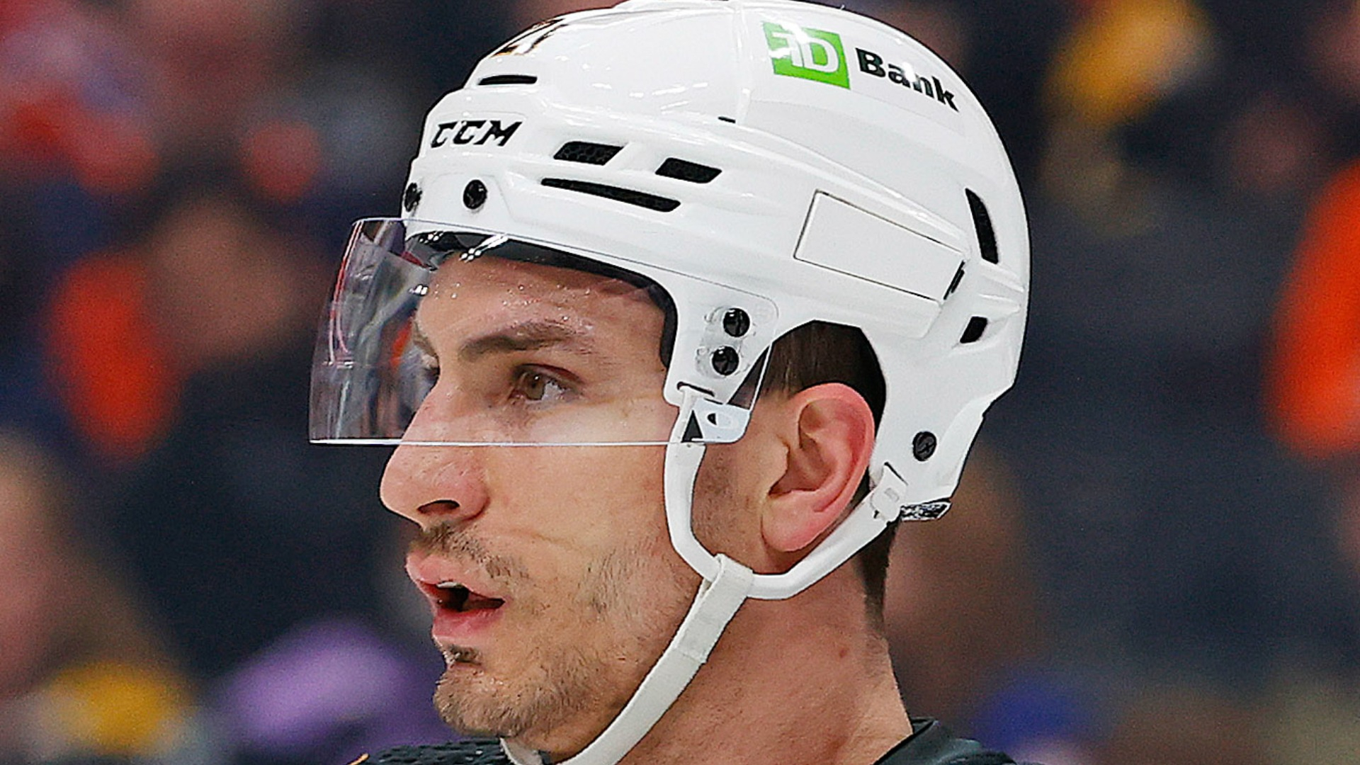 Boston Bruins forward Garnet Hathaway