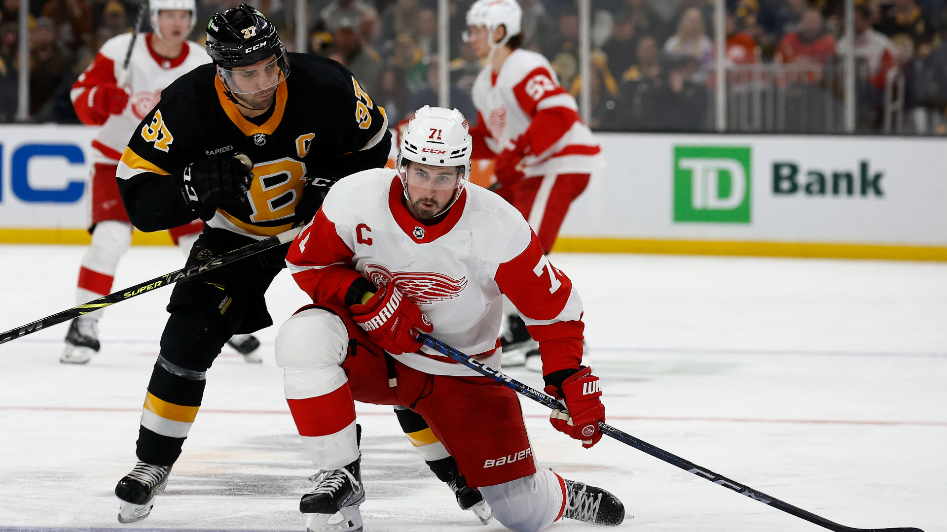 Boston Bruins center Patrice Bergeron, Detroit Red Wings center Dylan Larkin