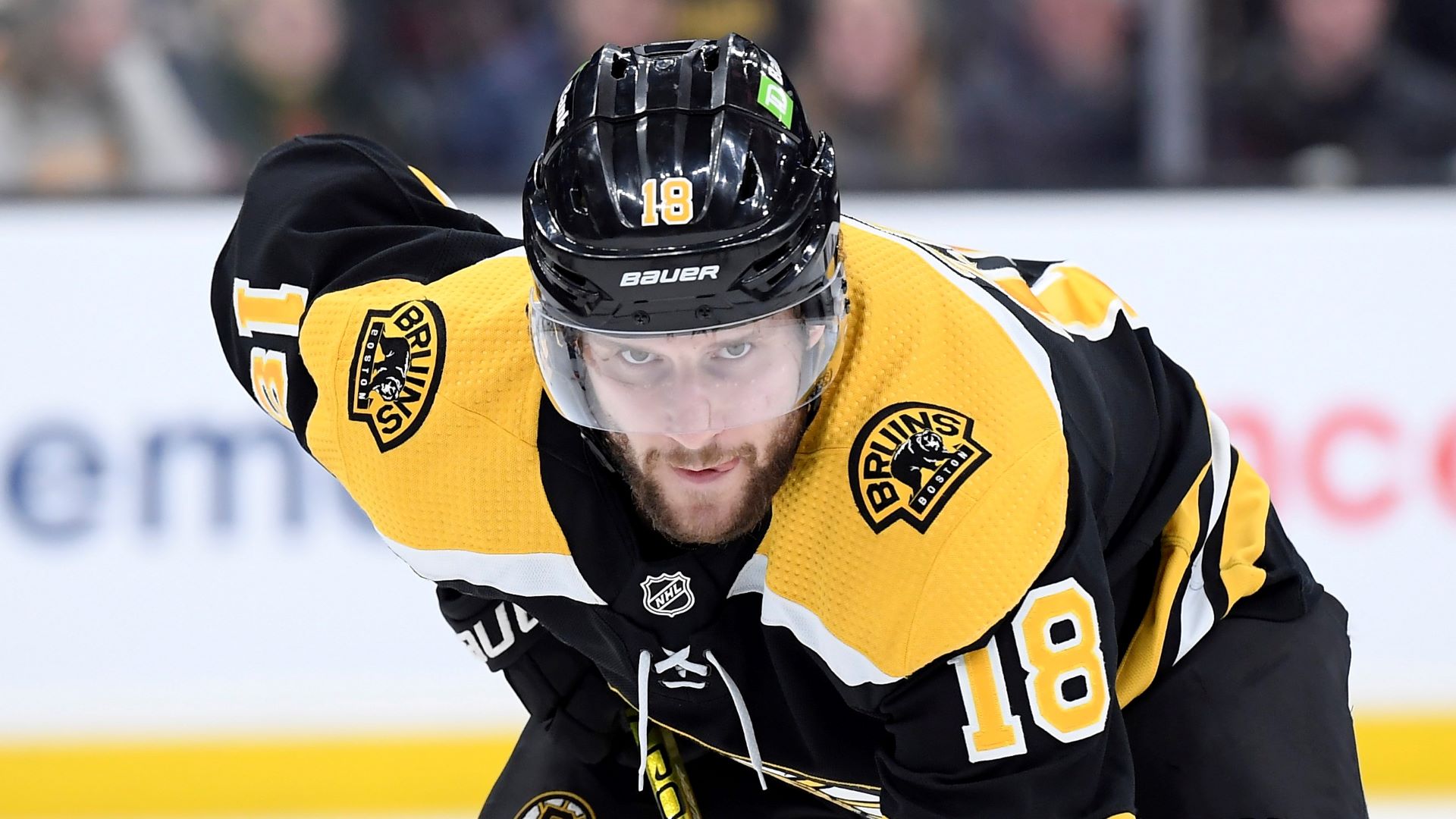 Boston Bruins forward Pavel Zacha