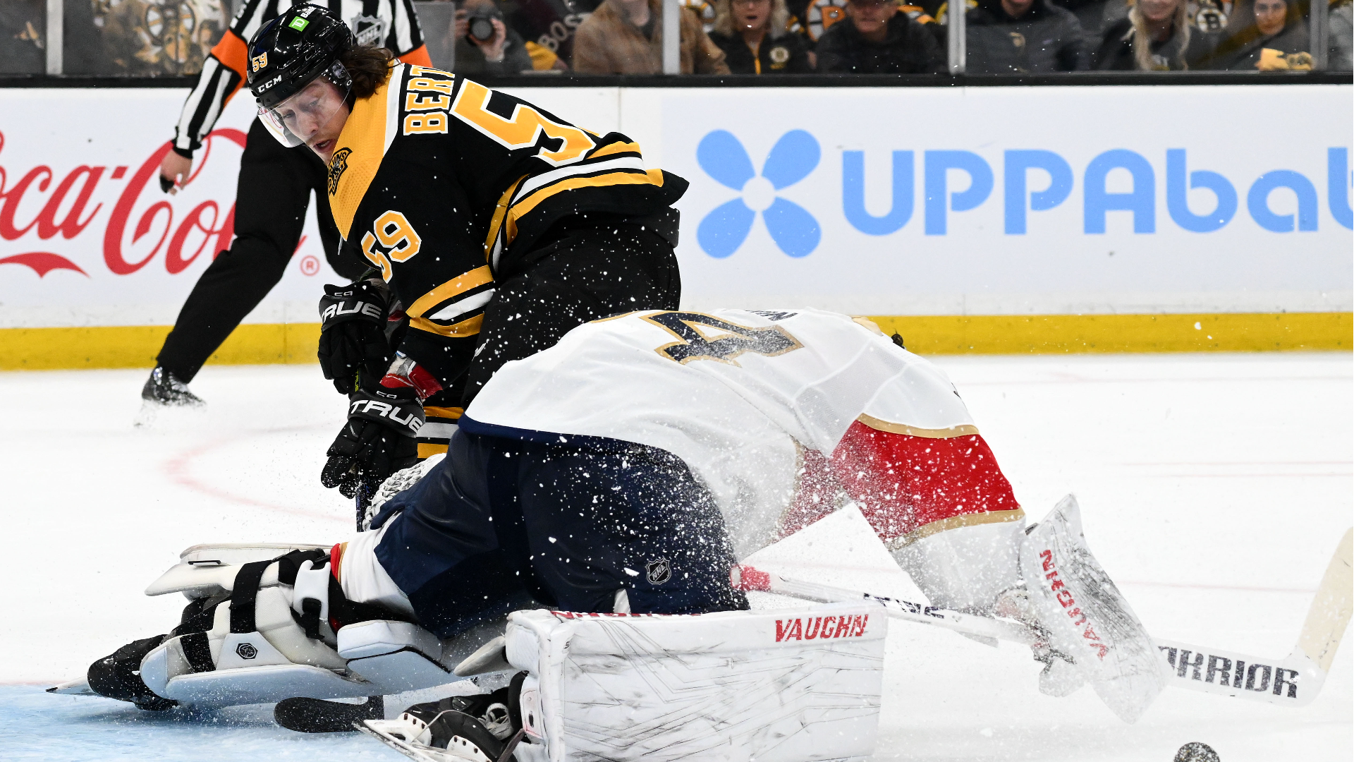 Boston Bruins left wing Tyler Bertuzzi and Florida Panthers goalie Alex Lyon