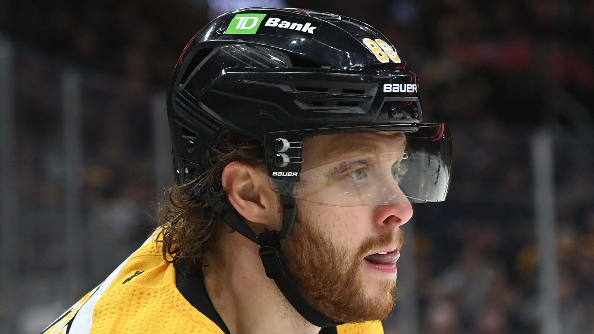 Boston Bruins forward David Pastrnak