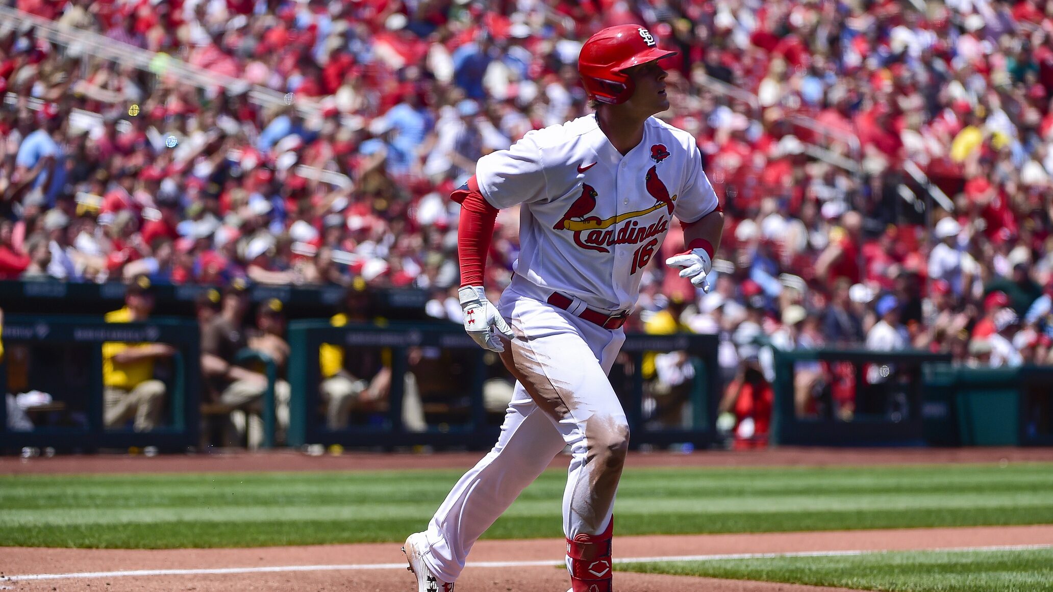 MLB: San Diego Padres at St. Louis Cardinals