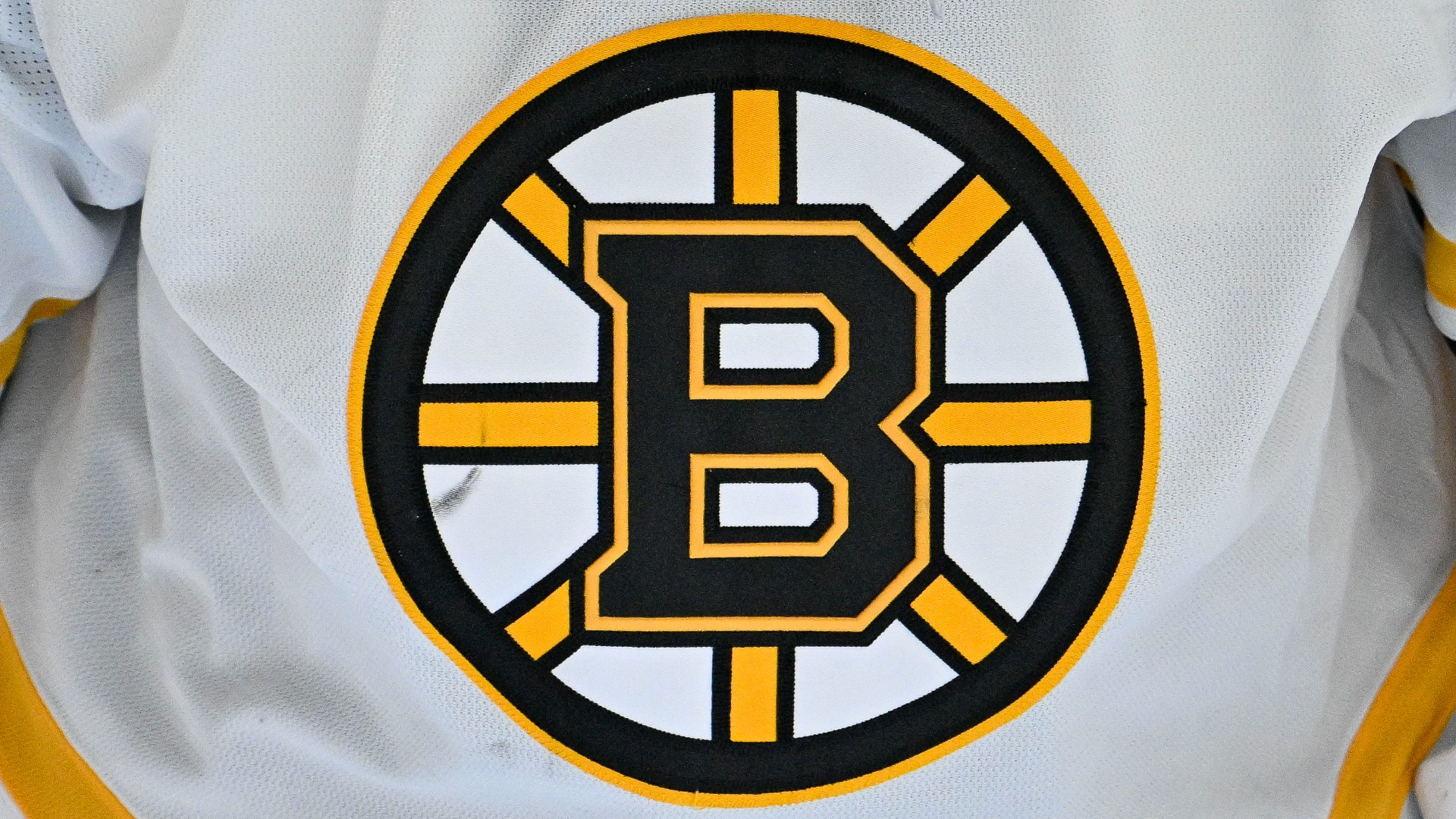 Boston Bruins logo